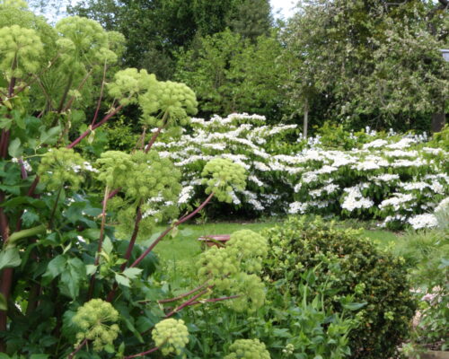 Les charmes du jardin de La Vie de Cocagne