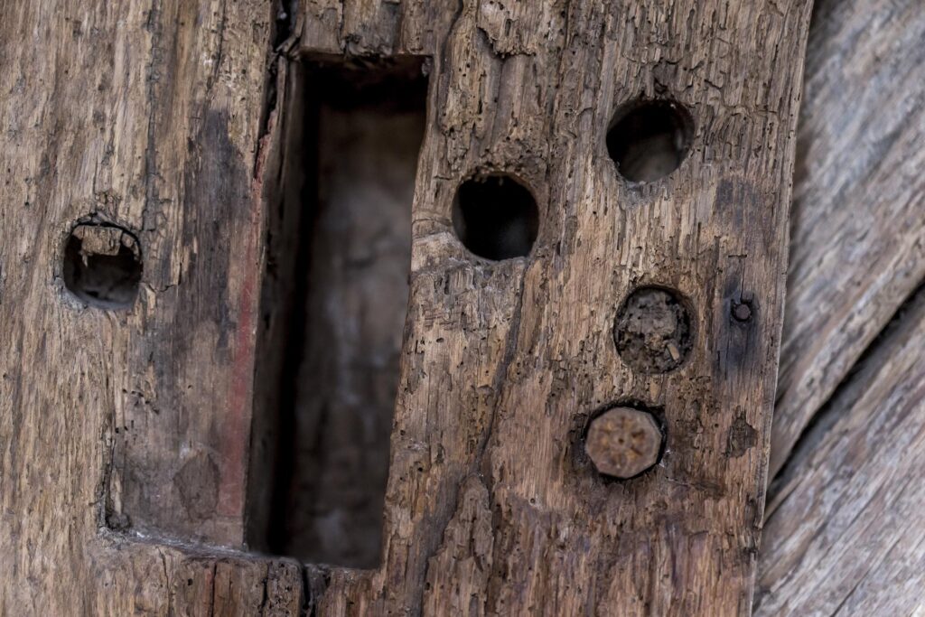 vie_de_cocagne©stephane_leroy-E61R8573
