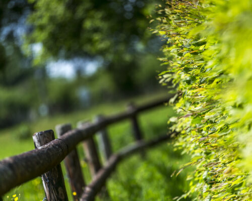 La Vie de Cocagne, Jardin, Gite de charme Normandie